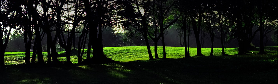 A Round of Golf After Three Months
