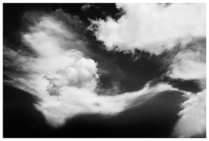 Flight of the phoenix Flight of the phoenix