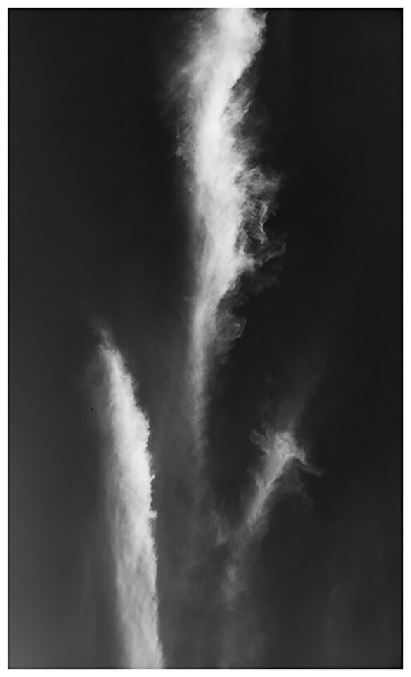 Ode to Mapplethorpe Ode to Mapplethorpe